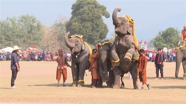 Fete des elephants Xayaboury