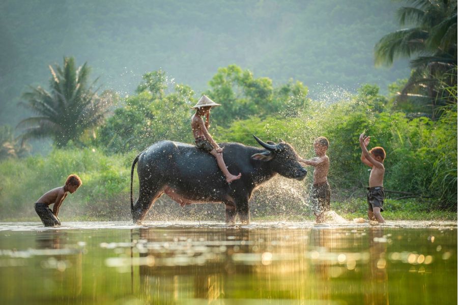 Voyage en famille au Vietnam 3