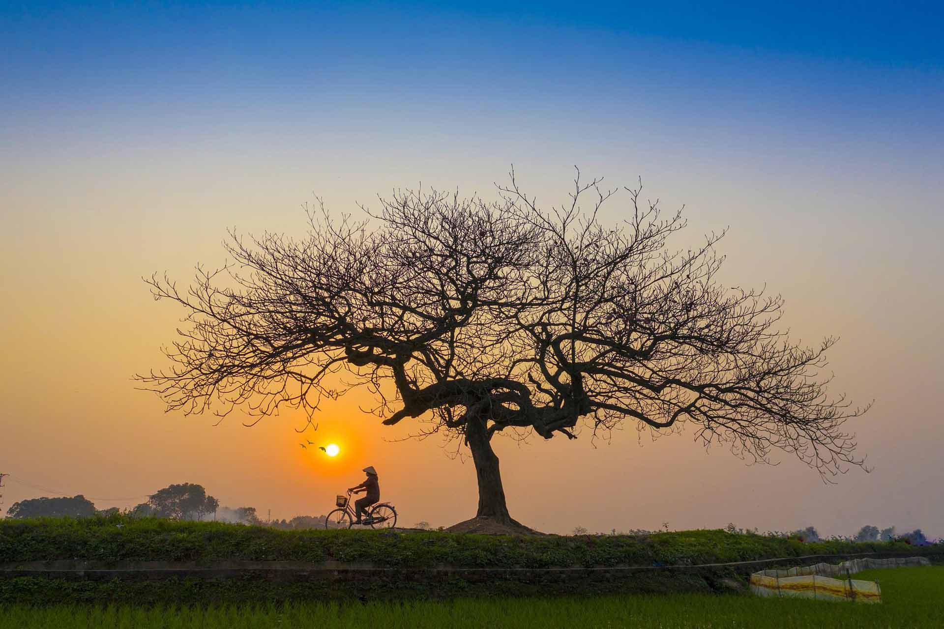 Les villages vietnamiens