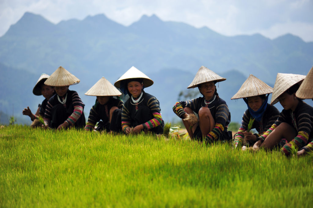 VIETNAM_Lolo-noir-_002-1024x681