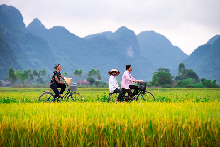 Vietnamese Locals And Their Morning Ride In Bac Son Valley