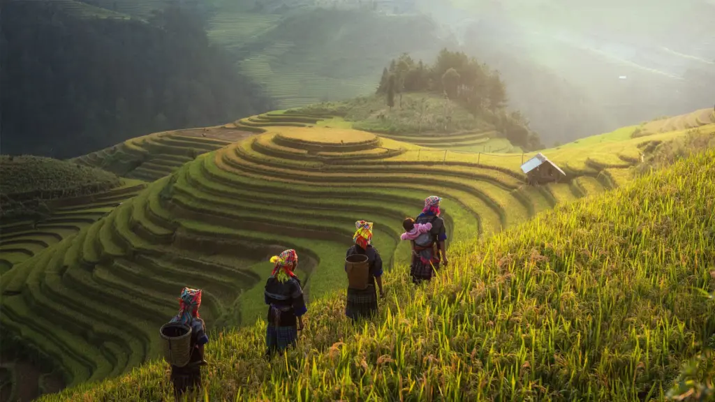Mosaique-du-Vietnam-et-ethnies-du-nord