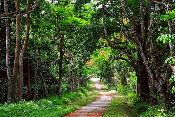 cuc phuong parc