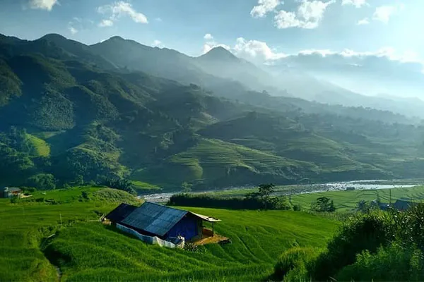hau thao