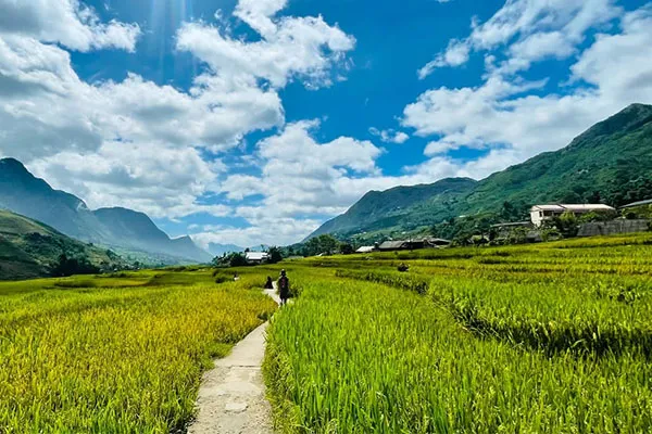lao chai