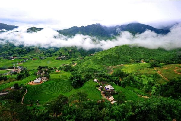sapa vert