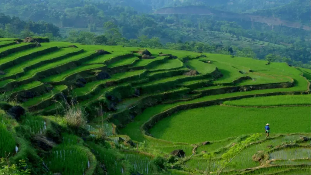 Aventure au Nord du Vietnam 10 jours dexploration