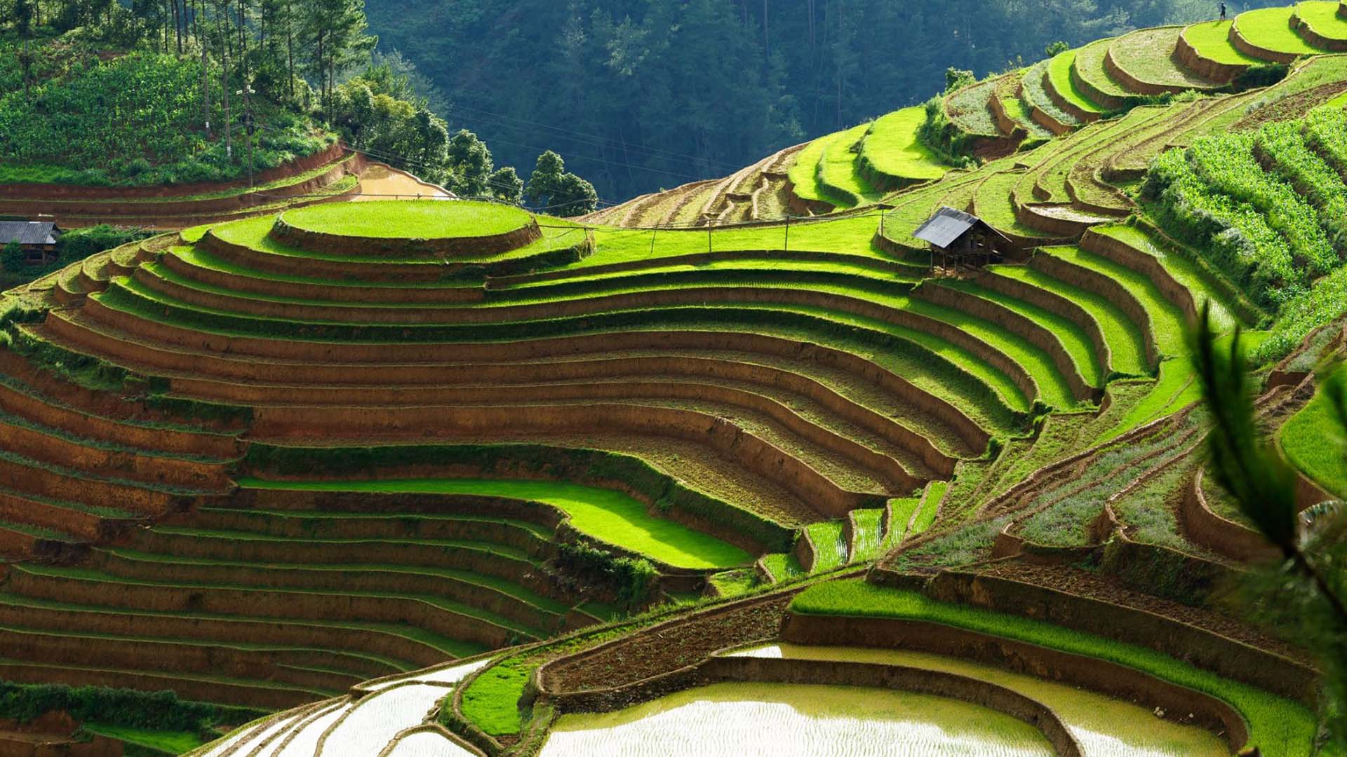 Agence de voyage locale au Vietnam – 100% fiable, humaine et chaleureusement recommandée