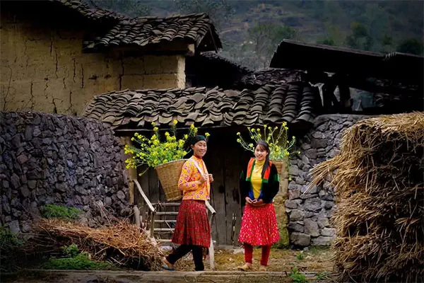 hmong dongvan 1