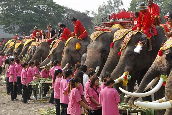 Journee nationale de lelephant thailandais 600 Journee nationale de lelephant thailandais 600
