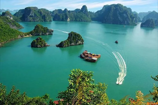 halong 600 2