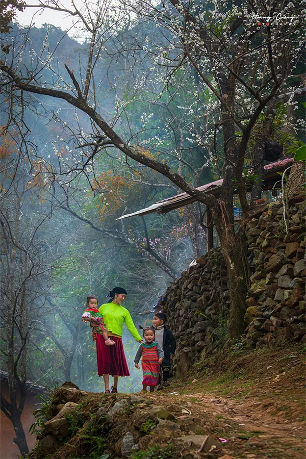 sensationsvietnam_hagiang sensationsvietnam_hagiang